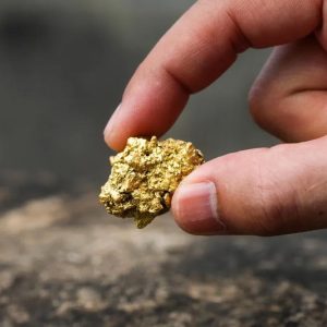 آموزش حضوری استخراج طلا